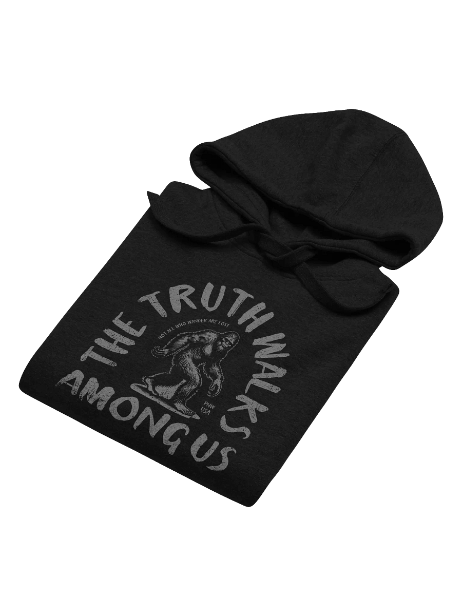 The Truth Walks Among Us Hoodie product image (6)