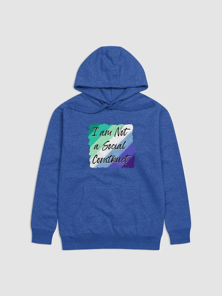 I am Not a Social Construct - Gay (2) - Hoodie product image (1)