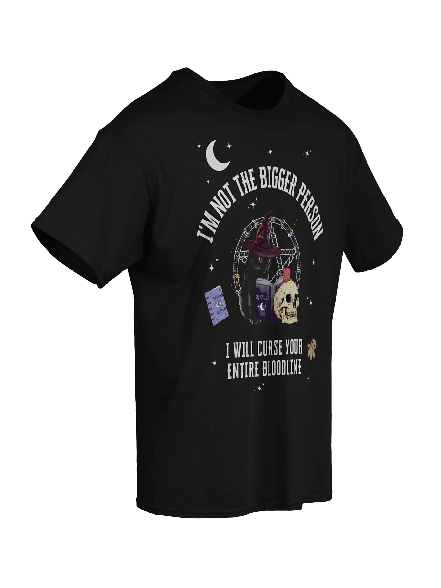I'm Not The Bigger Person I will Curse Your Entire Bloodline T-Shirt product image (44)