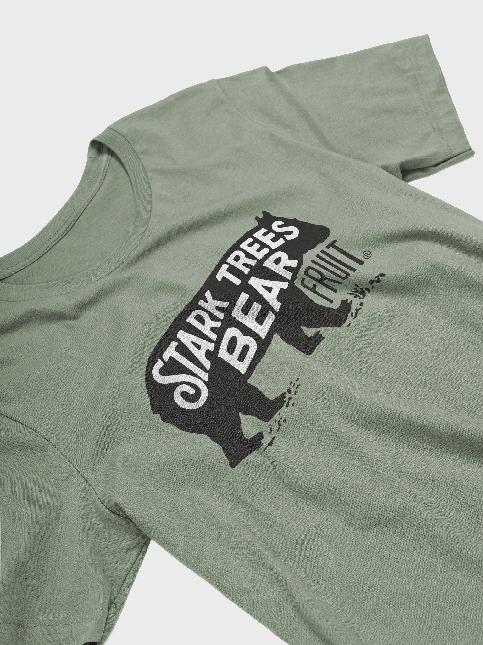 Bear Logo T-Shirt product image (3)