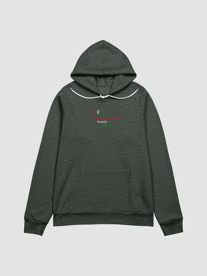 UFO Ultraconservative Family Oriented Hoodie product image (1)