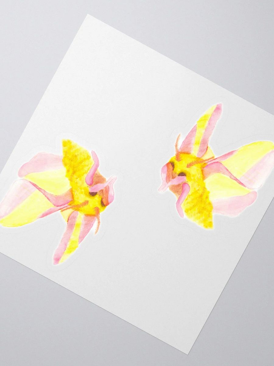Rosy Maple Moth Sticker (x2) product image (2)