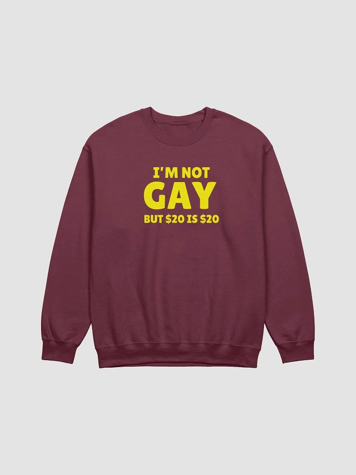 Not Gay But $20 is $20 Front Print Unisex Sweatshirt product image (1)