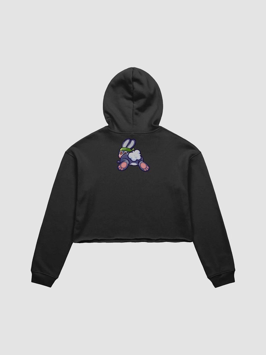 Ninja Monsta Logo Crop Hoodie product image (8)
