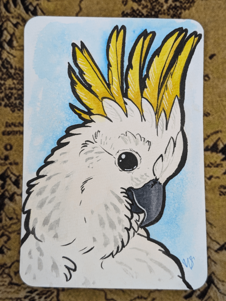 Cockatoo product image (1)