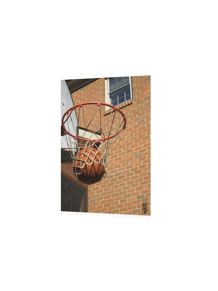 Nothing But Net product image (8)