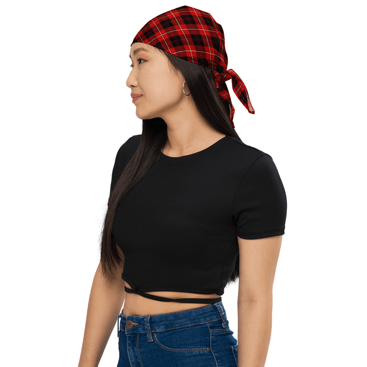 Cunningham Tartan Bandana product image (1)