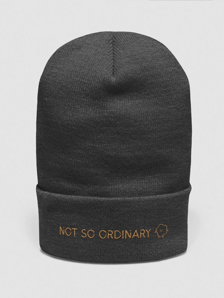 No ordinary Beanie product image (10)