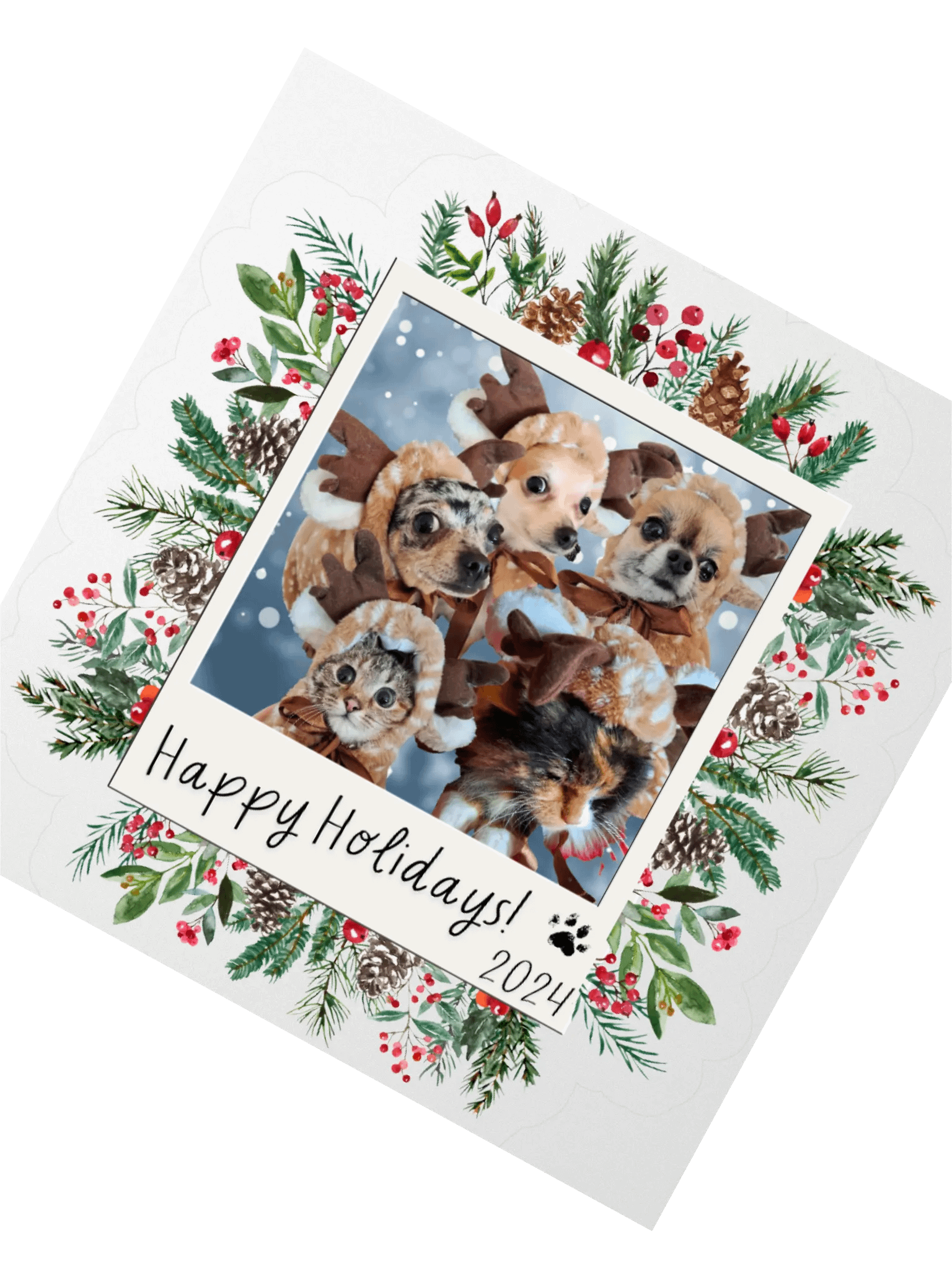 LIMITED EDITION Sticker - Paws [Holidays 2024] product image (2)