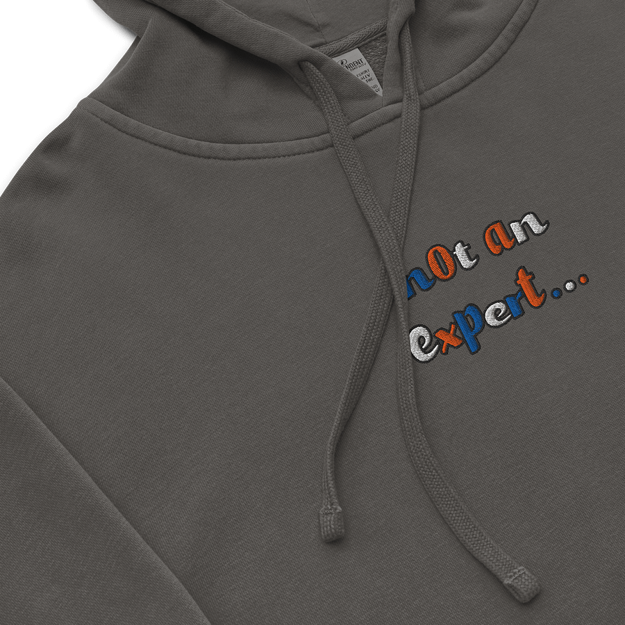 "not an expert..." Official Colour Hoodie product image (5)