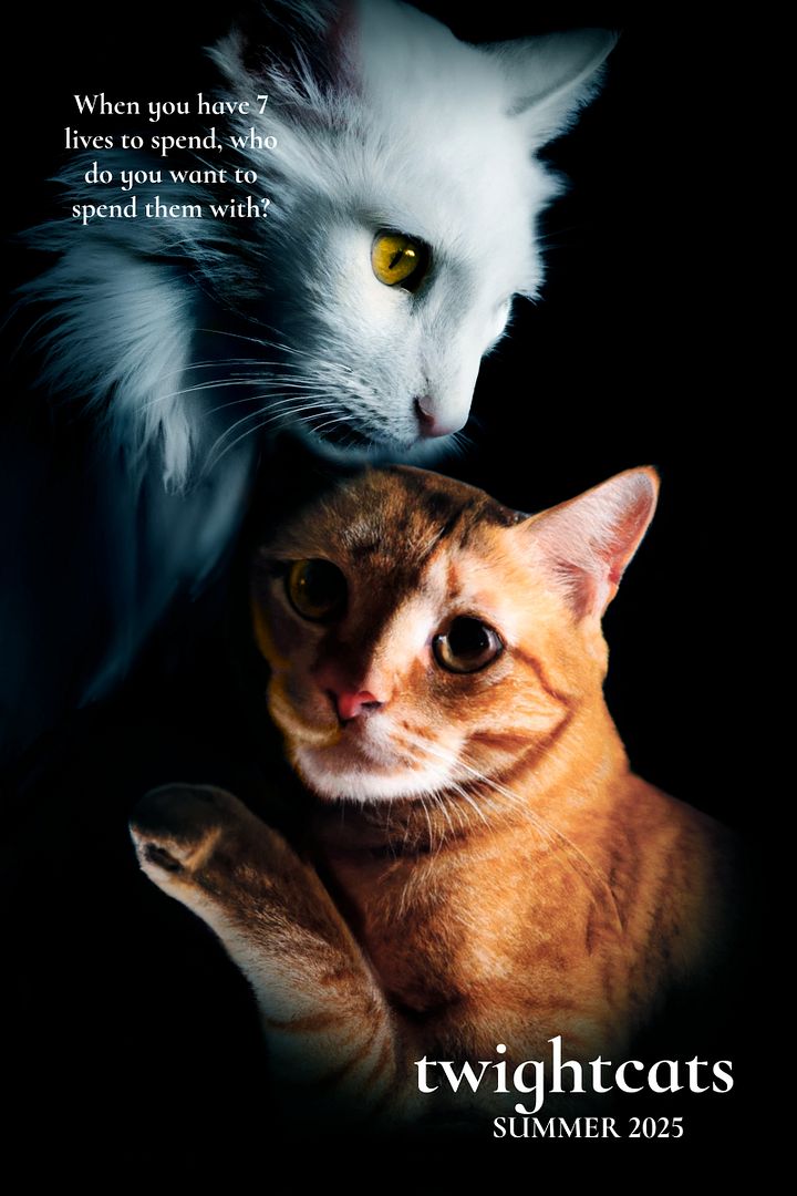 Twightcats Metal Print – 8x10 Romantic Parody Art product image (1)