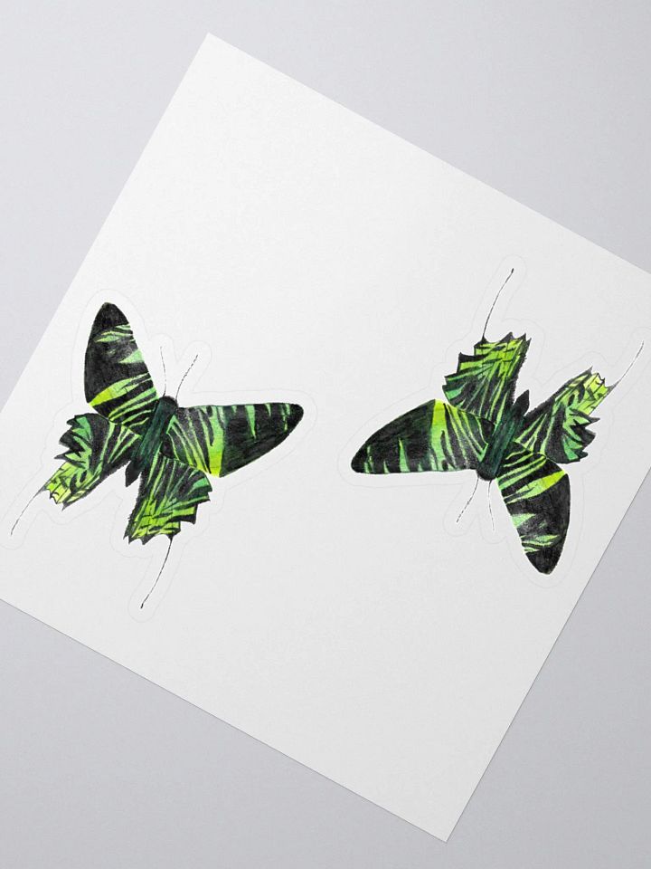 Green Banded Urania Moth product image (2)