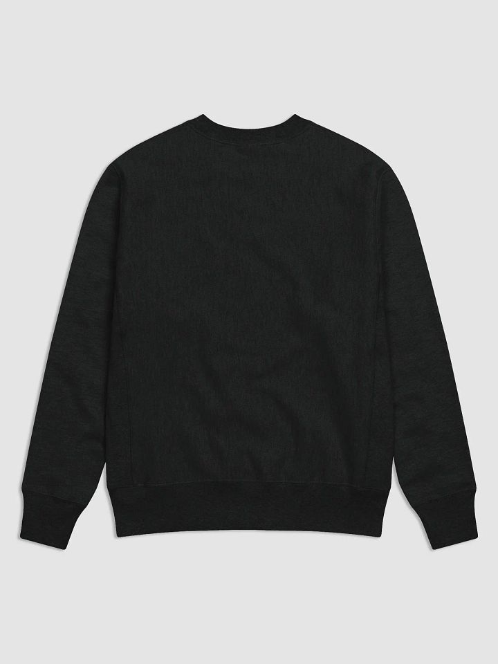 Wanted (men's pullover) product image (3)
