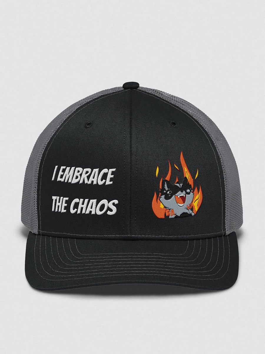 Embracing Chaos Racoon Hat product image (1)