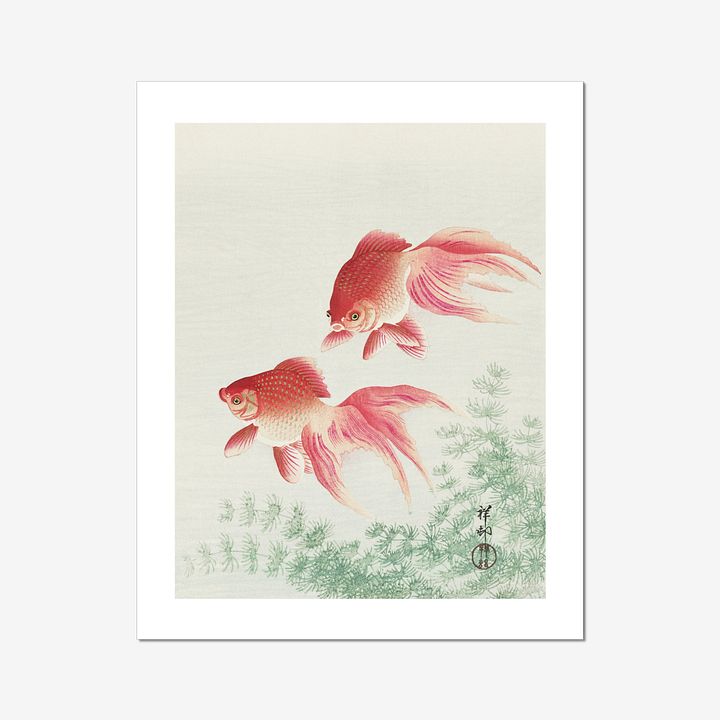 Two veil goldfish - Ohara Koson product image (1)