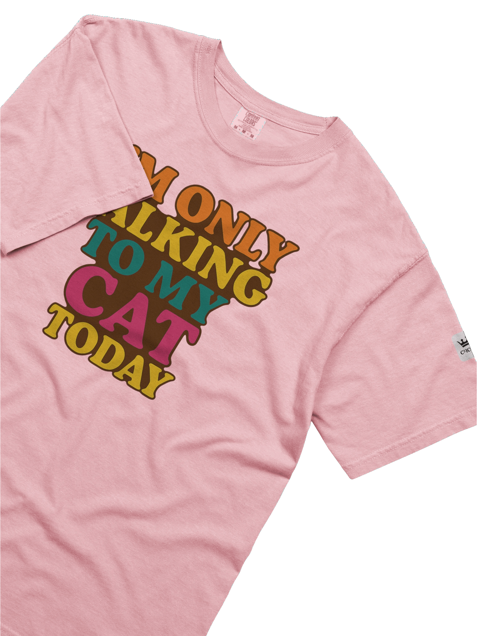 I'm Only Talking to My Cat Today Graphic T-Shirt product image (5)