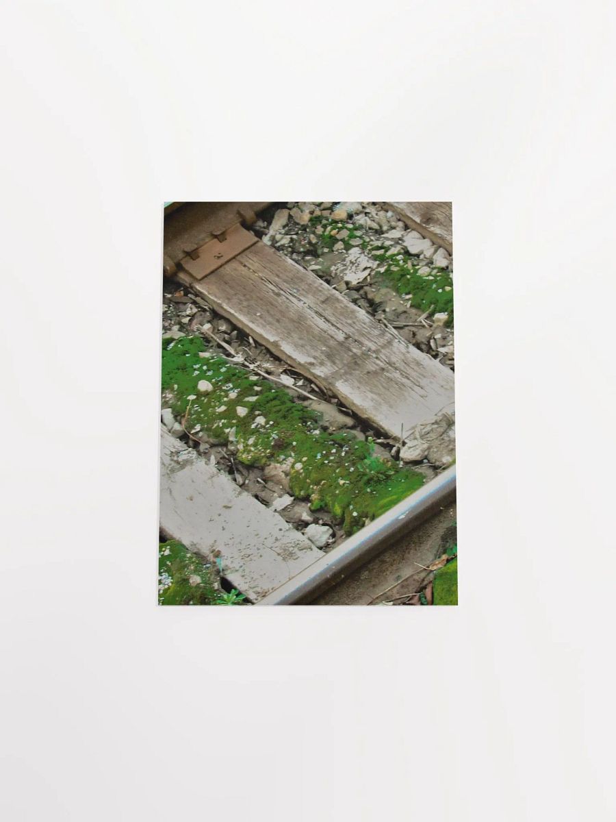 Mossy Railroad product image (47)