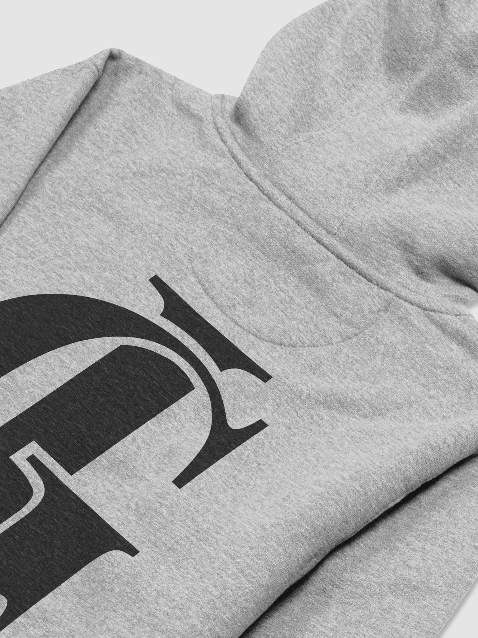 Logo Hoodie (Back image) product image (4)