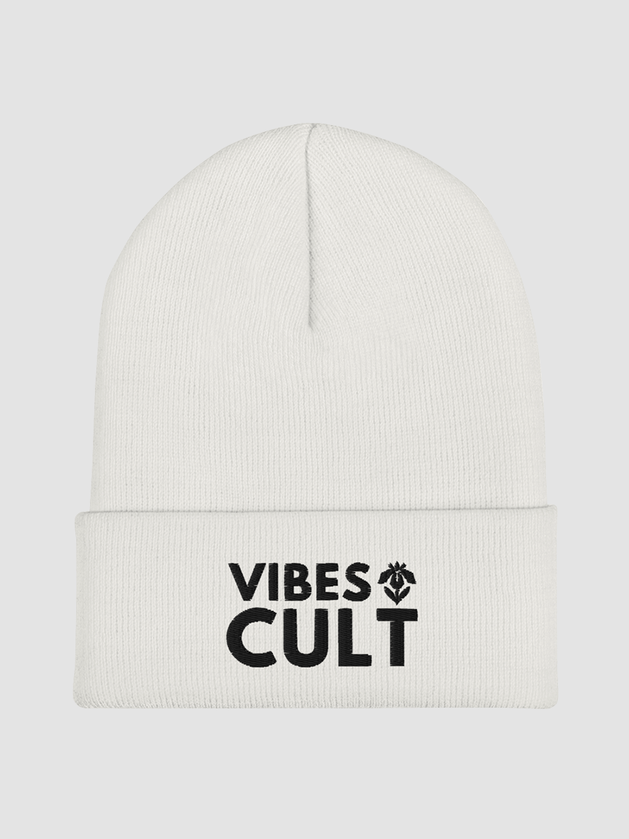 Embroidered Cuffed Beanie - VIBES CULT product image (2)
