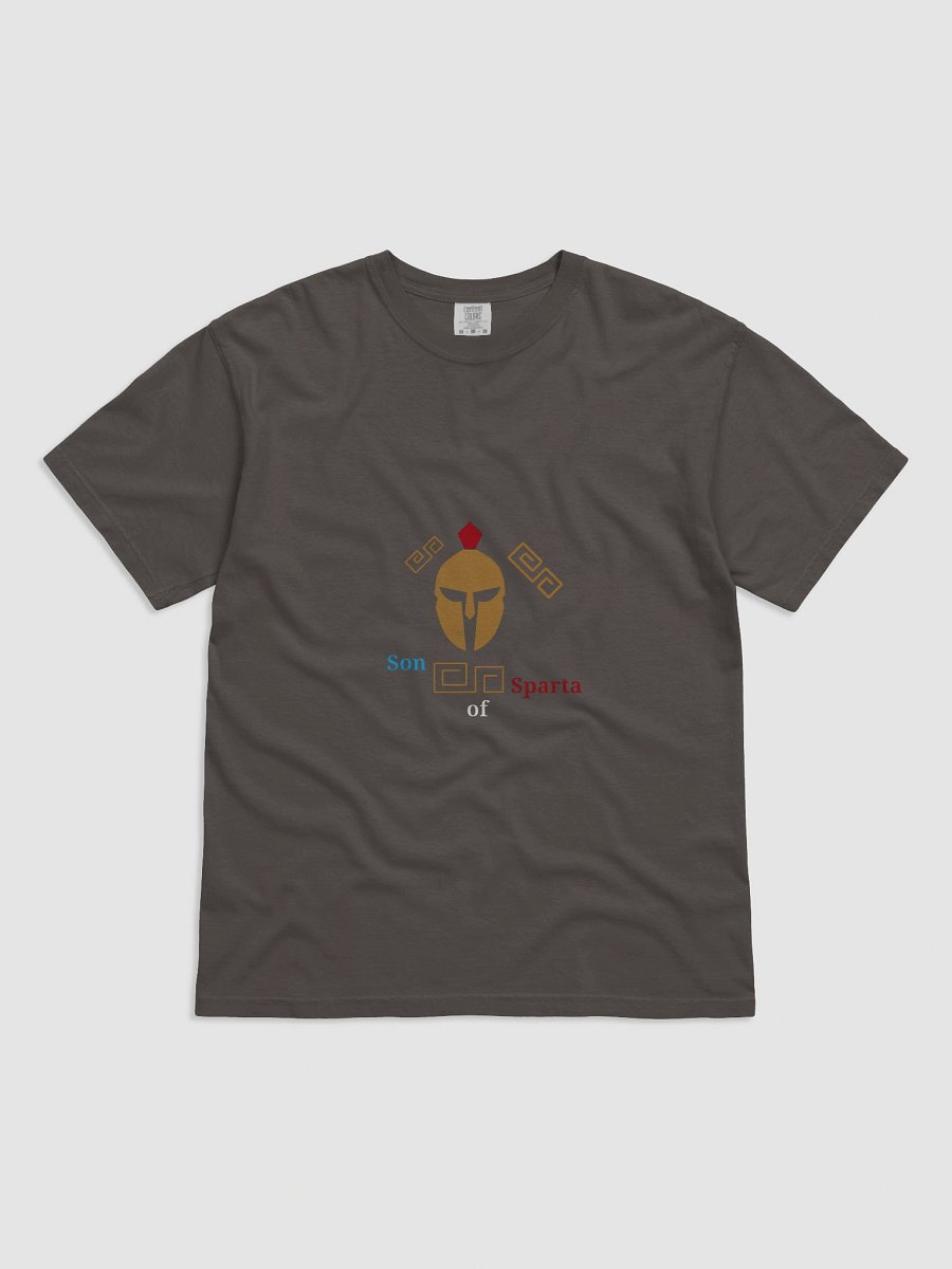 Spartan Legacy Geometric T-Shirt product image (1)