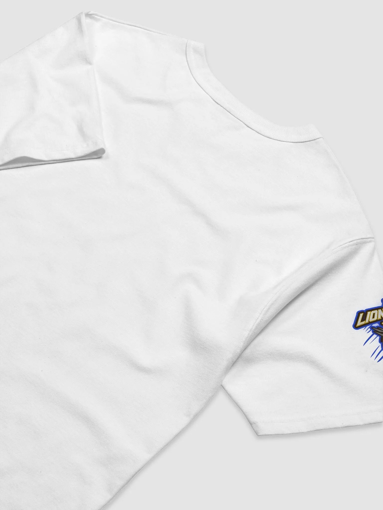 DJ TanTrum Champion T-Shirt (Men's Relaxed Fit) product image (8)