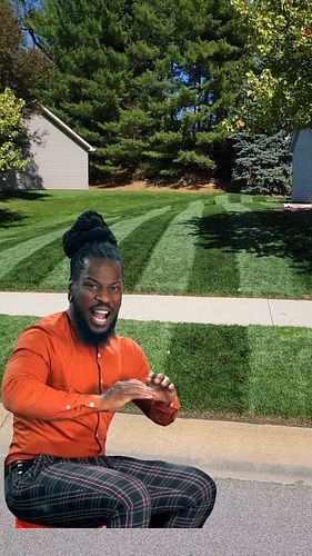 It's not realistic, but a lawn fanatic dream, can't he?