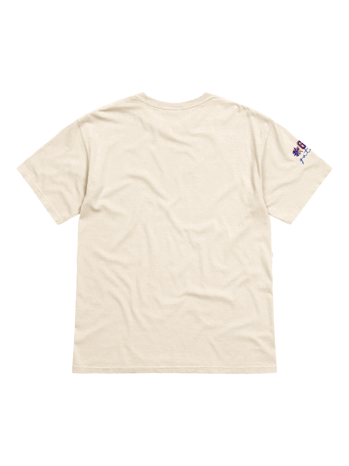 Florida Gators Babies T-Shirt (Comfort Colors) product image (2)