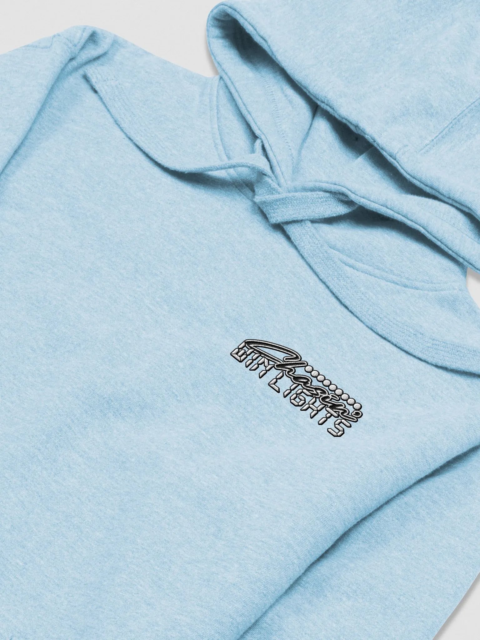Chasing Win Lights - Embroidered Hoodie product image (37)