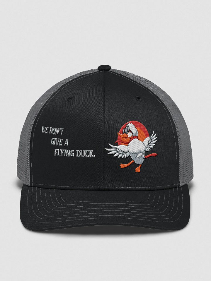 NSLB We Don't Give A Flying Duck Snapback Hat product image (6)