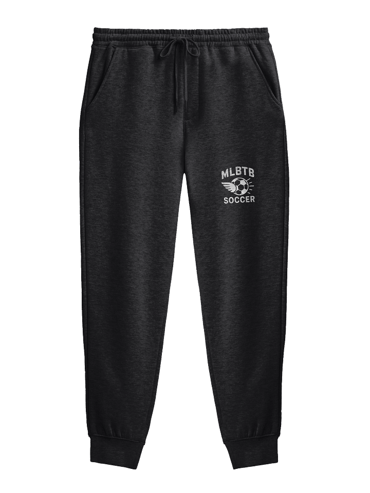 Adult Sweats Winged Ball product image (3)