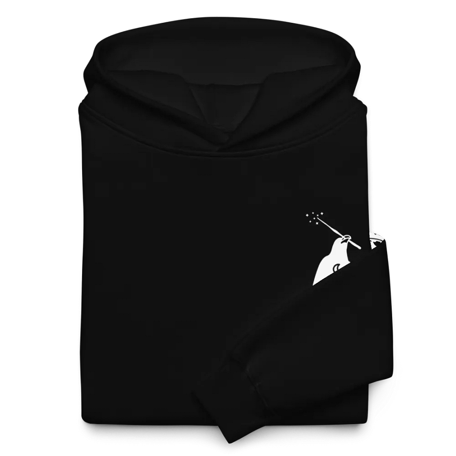 Wizard Crow Hoodie product image (10)