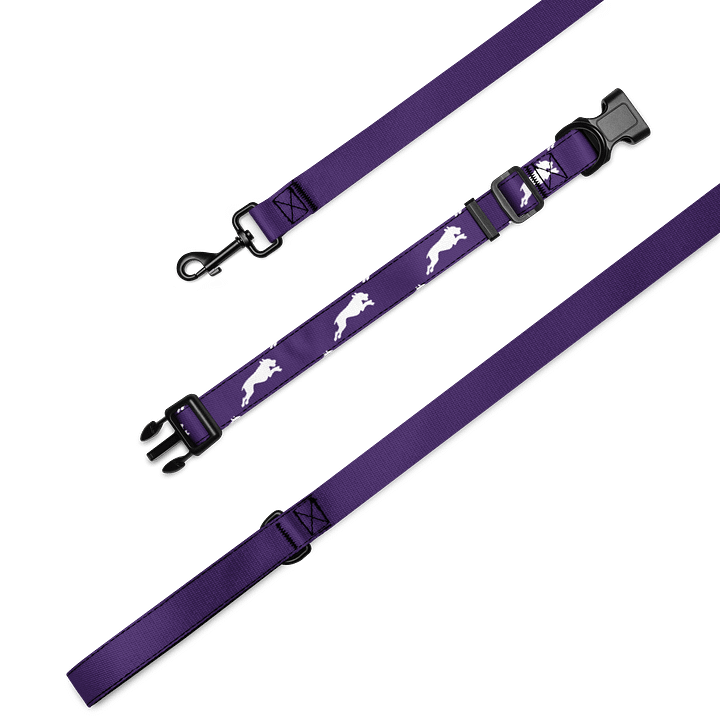 Purple Haze Leash & Collar product image (2)