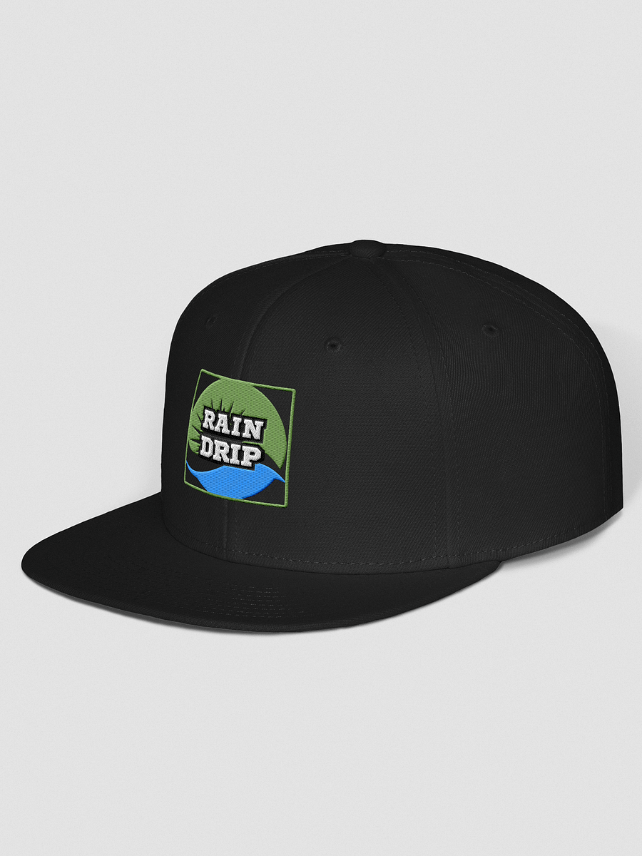 Leafy Drip Wool Snapback product image (2)