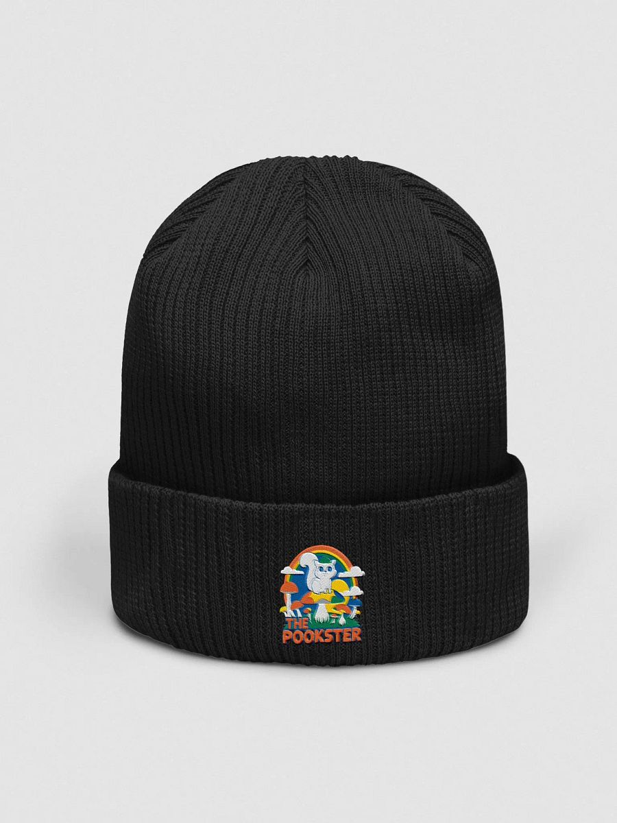 Organic Cotton embroidered beanie: Pookster Mushroom Adventure product image (1)