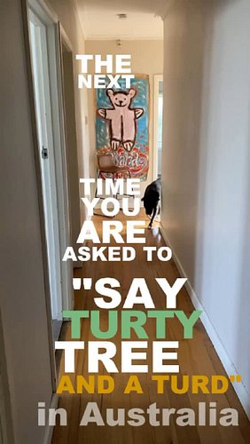 Next time you’re asked to “say turty tree and a turd” in Australia,
Play CalmerKarma. You’re welcome.

Subscribe on Bandcamp ...