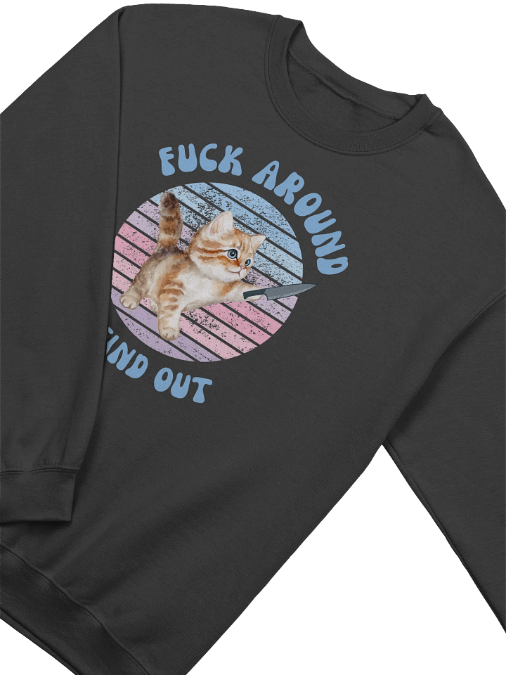 Fuck Around And Find Out Sweatshirt product image (2)
