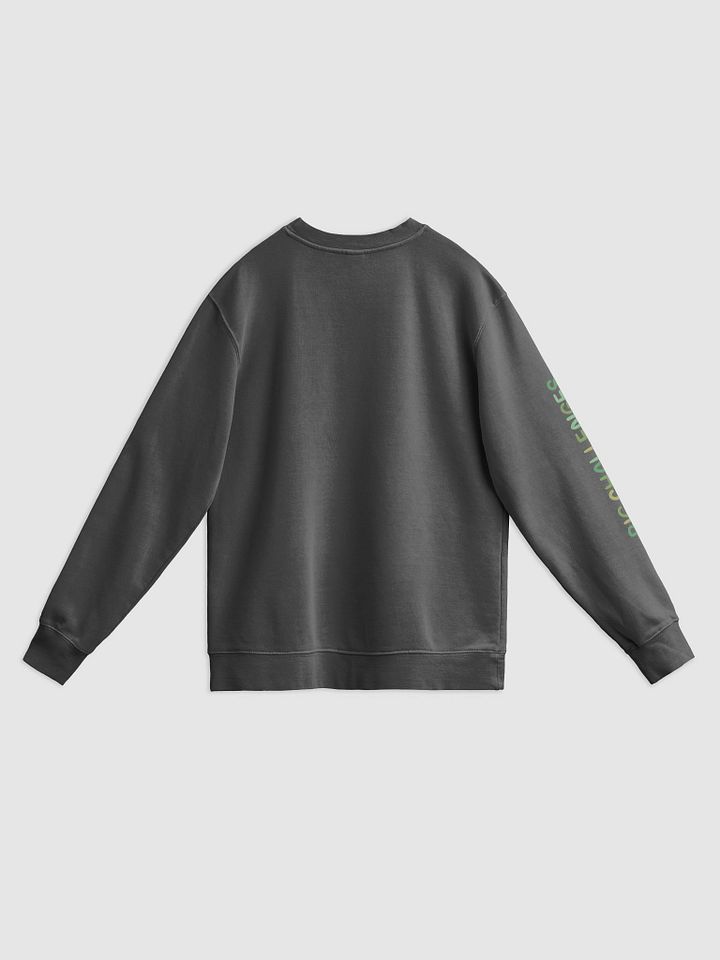 Lil Big Challenges Crewneck product image (2)