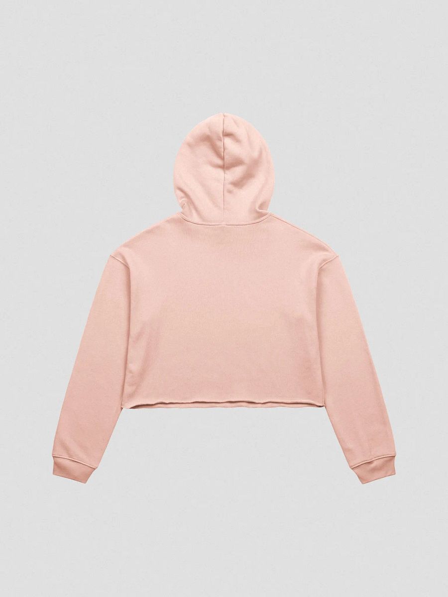 PANIC Cropped Hoodie product image (3)