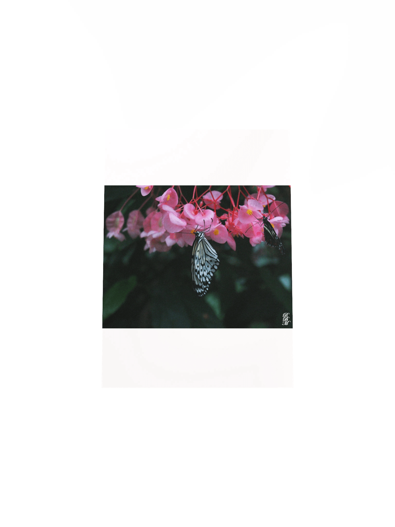 Butterfly Hanging from Flowers product image (30)