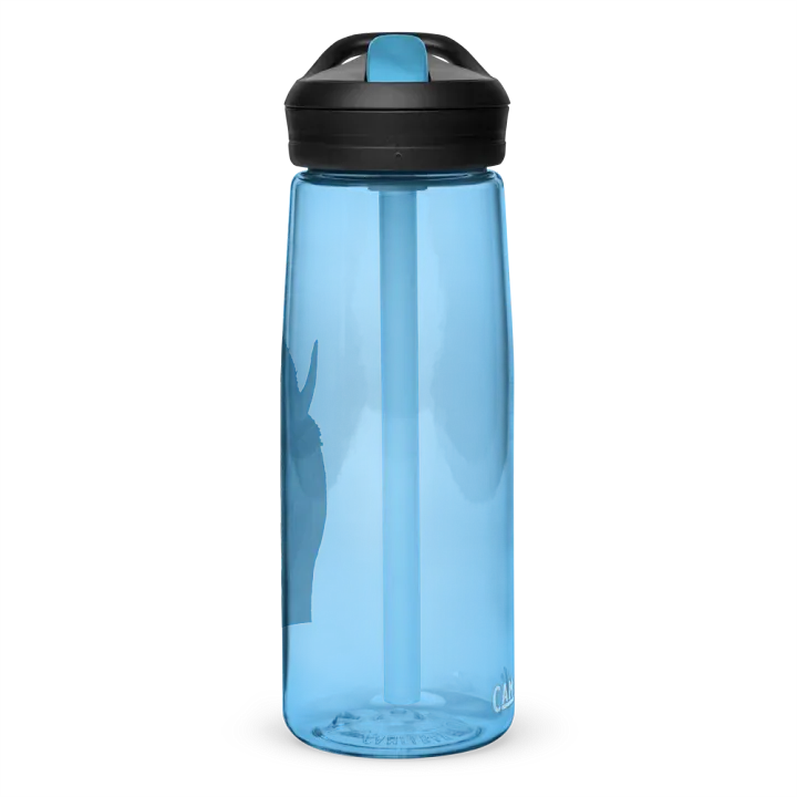 Bison Drawing Water Bottle Straw product image (59)