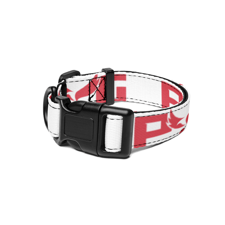 DAWG COLLA product image (1)