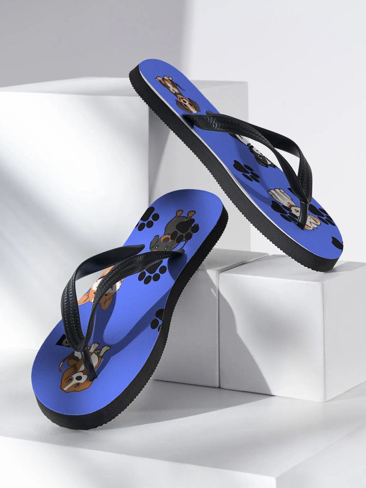 Paws and Play Flip-Flops product image (2)