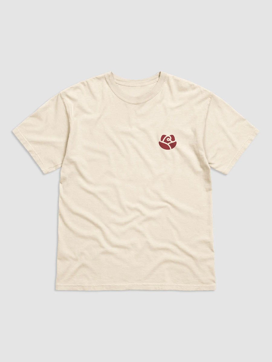 Comfort Colors Garment-Dyed Heavyweight T-Shirt product image (1)