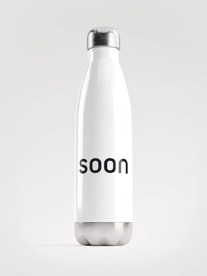 Stainless Steel Water Bottle product image (1)