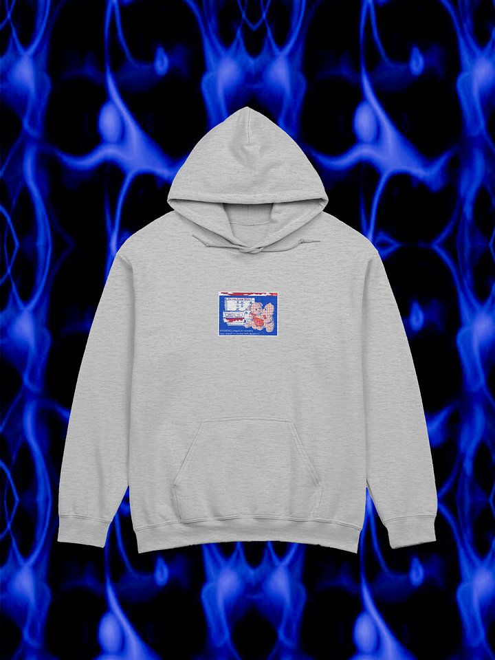 Twin Bears Hoodie - Grey product image (1)