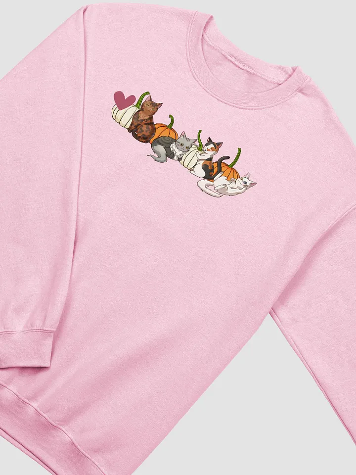 Pumpkin Patch Cats Sweatshirt product image (2)