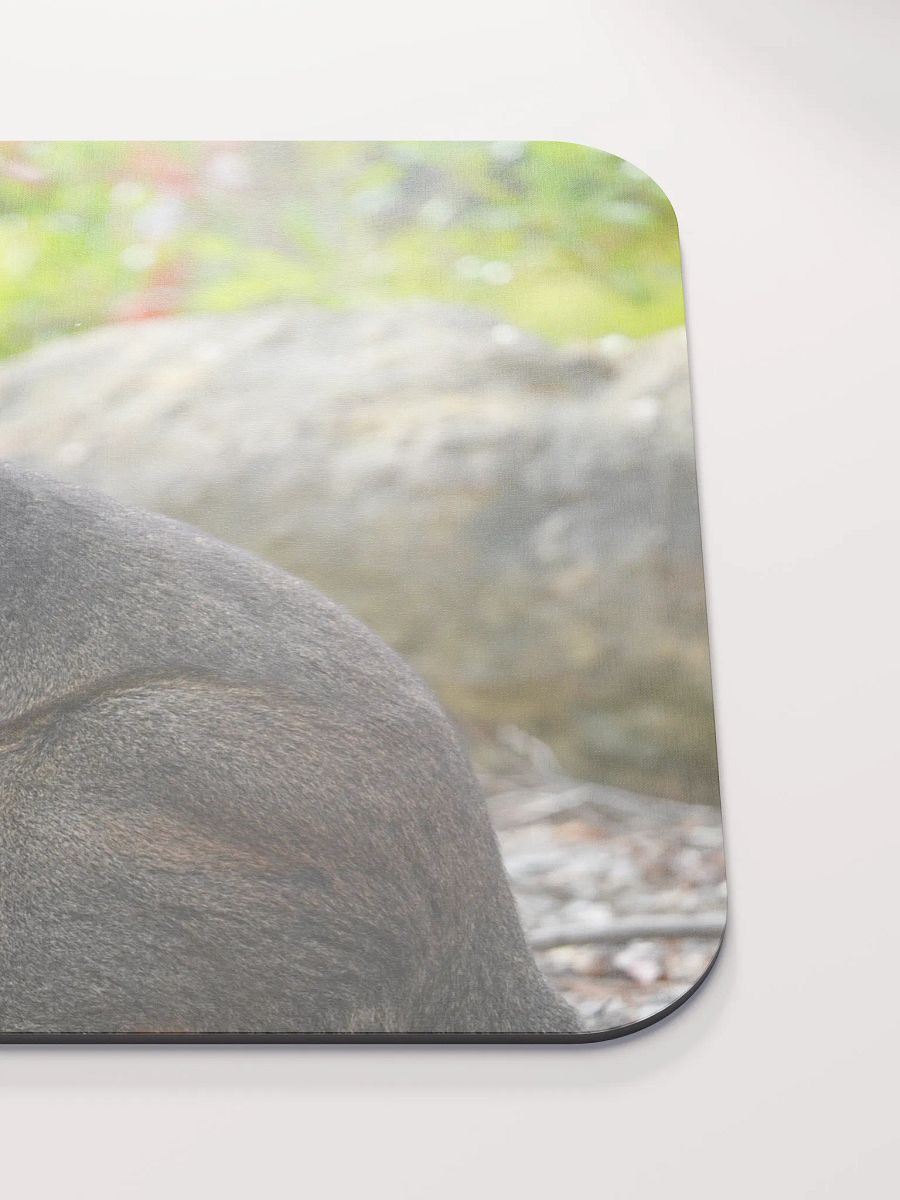 Kangaroo on a Mouse Pad product image (5)