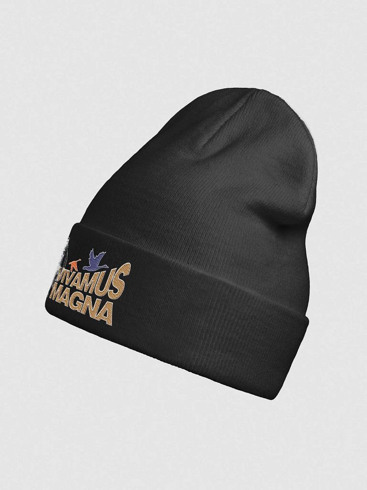 BN#002 product image (2)