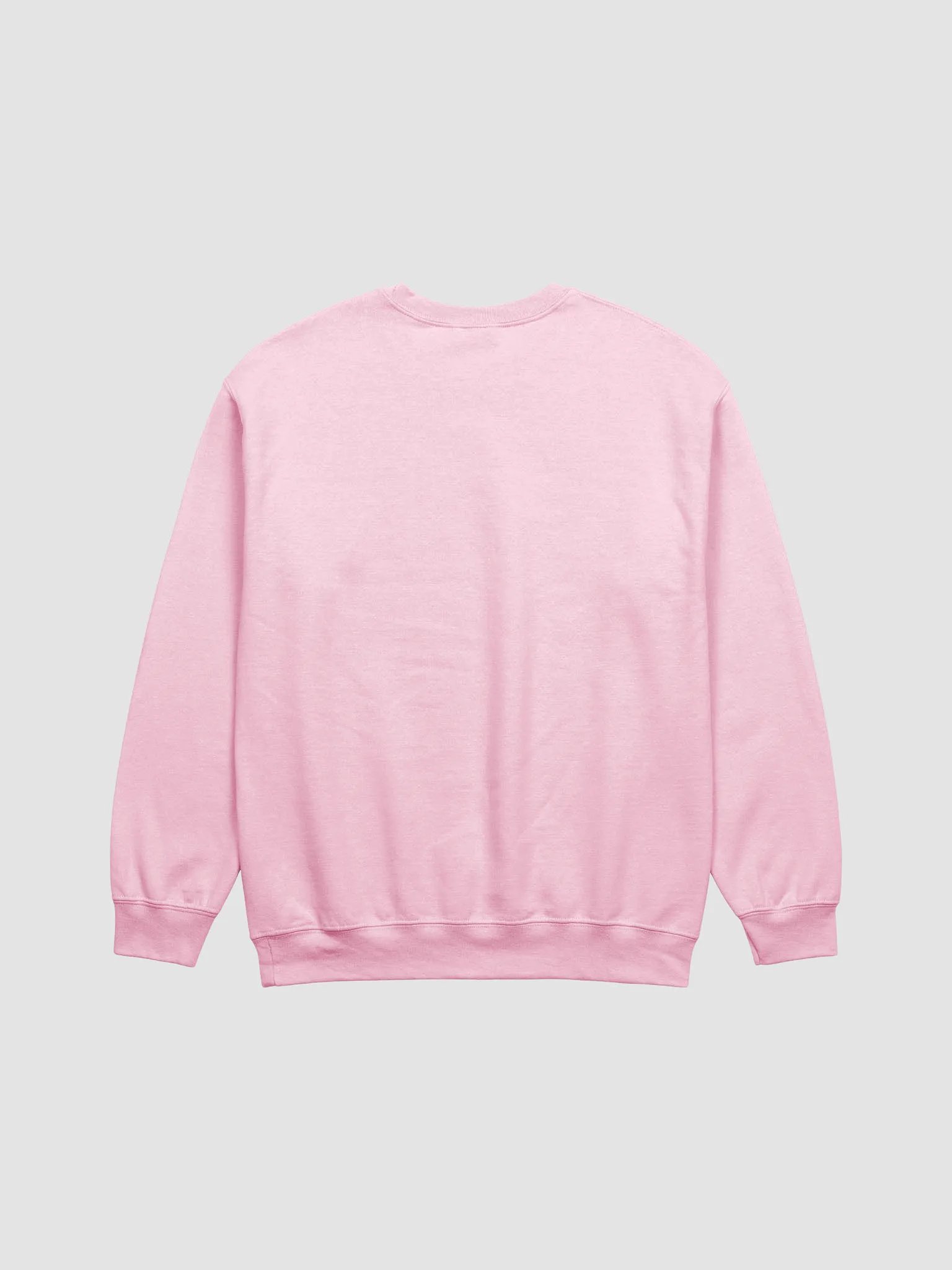 Bookish Goose Sweatshirt product image (22)