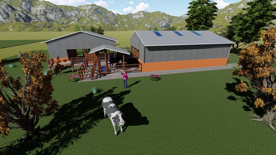 10 Dairy Cows Design Plan product image (6)